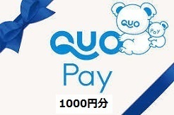 1000円分 クレカ,paypay支払い不可 QUOカードPay1000円分 (500円券×2個) クオカードペイ 電子マネー スマホ決済