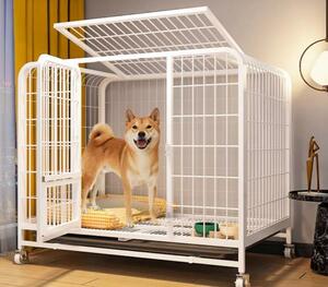  собака для клетка средний собака маленький размер собака большой салон туалет есть . собака Corgi собачья конура собачья конура love собака забор 