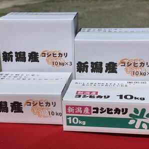 特別栽培米5年産新潟コシヒカリ小分け3袋 農家直送 玄米25㌔か白米22.5㌔24の画像5