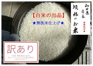 訳あり ブレンド米 : 900g お試し用 無洗米 №0122 追加 (送料込み) お米 白米 コシヒカリ ひとめぼれ 令和5年10月収穫米 ※二品種混在