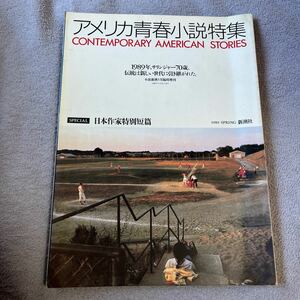 アメリカ青春小説特集 柴田元幸 宮本輝 ジェイ・マキナニー カーヴァー デイヴィッド・アップダイク スーザン・アレン・トウス 1989年