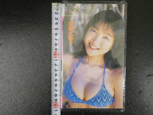 VHS　佐藤江梨子　ファイナル・ビューティー　竹書房