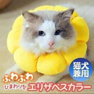 ひまわり型 エリザベスカラー Mサイズ ソフト 向日葵 猫 犬 ペット 傷口保護