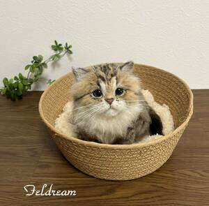 Feldream◆羊毛フェルト猫　ふわふわのチンチラゴールデン子猫ちゃん　ハンドメイド　ペルシャ