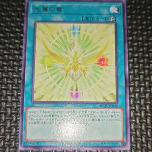 遊戯王 光翼の竜 AGOV-JP048 9数量まで