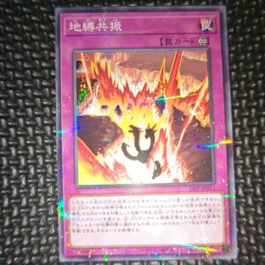 地縛共振 [P] 24PP-JP011 遊戯王OCG PREMIUM PACK 2024 