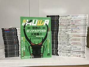 【ビークワ】5～83号のうち60冊 むし社★クワガタ 昆虫 飼育法 飼育ギネス ヘラクレス★送料例 1250円×2ケ口/関東 東海 