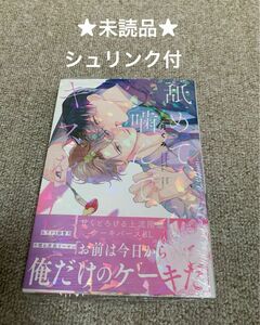 【未読品　シュリンク付】舐めて、噛んで、キスをして 文月くみ 