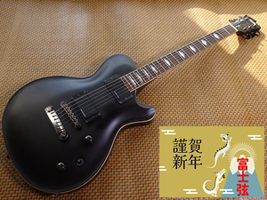 FUJIGEN(FGN) EFL-DE -MBK- African Mahogany フジゲン 富士弦 日本製 Made in Japan レスポール les paul HANDMADE