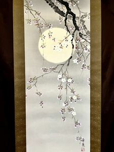 [真作] [絵画] 卓泉「夜桜」絹本 肉筆 共箱 春景 花鳥図 風月 さくら 朧月 日本画 掛軸