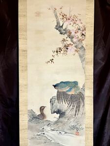 [真作] [S8] 中村稲径「桜下双雉図」絹本 肉筆 春景 花鳥図 鳥獣 キジ さくら 掛軸 大正時代の日本画家