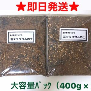 ★即日発送★苔テラリウム用ブレンド土 大容量パック（400g×2）L627