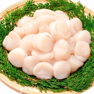  freshness eminent![ scallop . pillar ]5S size approximately 1kg(61-80 bead ) Hokkaido o horn tsuk production. most super superior article.!* all commodity including in a package possible 13kg till postage same amount . we deliver!