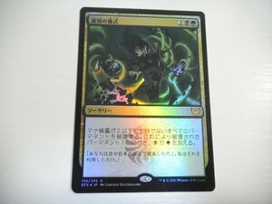 E438【MTG】選別の儀式 Foil