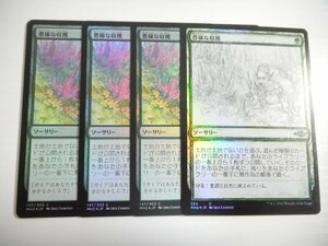 E602【MTG】豊穣な収穫 Foil 4枚セット