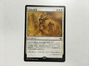 A303【MTG】先祖の結集 即決