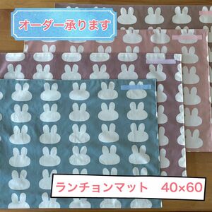 【オーダー承ります】ランチクロス　ランチョンマット　ハンドメイド　40×60