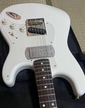 Stratocaster Custom _画像4