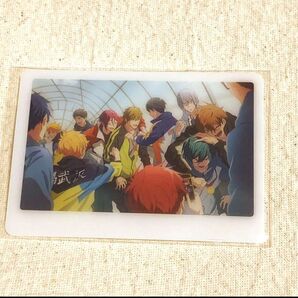 Free! ミニフォトカード 集合