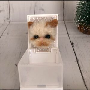 ぶさかわ子猫のピアスケース　羊毛フェルトハンドメイド ミニチュア