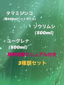 【花火めだかのオススメ3点セット】◆ゾウリムシ、ミジンコ、ユーグレナ◆生き餌◆3種類セット◆簡単培養マニュアル付き◆