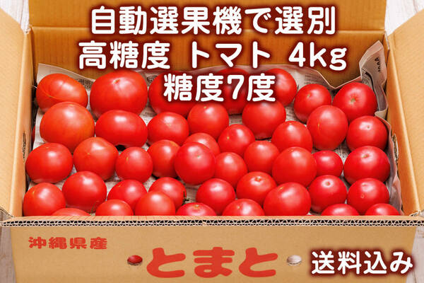 【送料込】自動選果機で選別した高糖度 トマト 4kg 沖縄県産とまと
