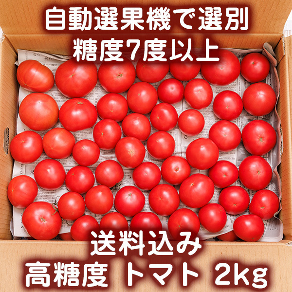糖度7度以上のトマト2kg　自動選果機で選別 農家発送 沖縄産とまと【送料込】