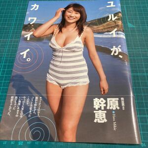 D17　切り抜き　原幹恵