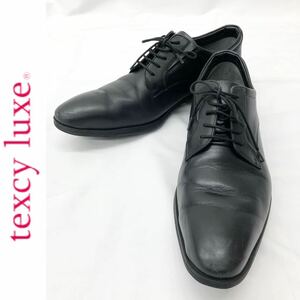 texcy luxe テクシーリュクス メンズ GORE-TEX ビジネスシューズ 本革 レザー ゴアテックス ブラック 25.5EEEcm 紳士