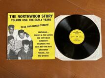 【VA-NORTHWOOD STORY VOL.1】LP-50’s style Modernロカビリー ネオロカビリー●BLUE RHYTHM BOYS RED HOT’n BLUE SURESHOTS 他_画像2