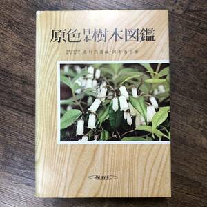 J-3344■原色日本樹木図鑑■保育社■（1967年）昭和42年4月1日 18刷