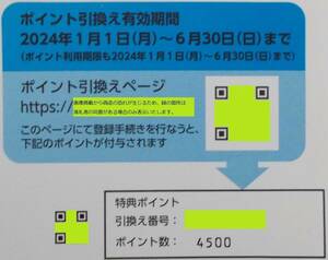 送料無料 ソースネクスト 株主優待券 4500円分 2024年6月まで