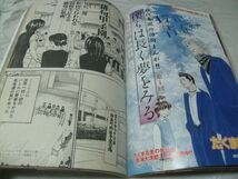 【　ヤングANIMAL（アニマル）　2003年 No.9号 『巻中表紙カラー・三浦健太郎「ベルセルク」第220話　グラビア・緑川のりこ/小林恵美』　】_画像7