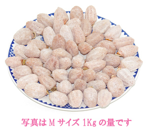 自家製直販 南信州市田柿　干し柿　１Kｇ　Ｍサイズ(1個15g～20g)