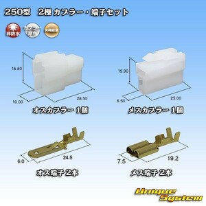 矢崎総業 250型 2極 カプラー コネクター・端子セット