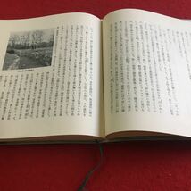 e-612 ※1 なおなお パイプのけむり 團伊玖磨朝日新聞_画像4