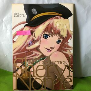 E-256 Macross F Visual Collection The Mystery of Enowern Face, спрятанного в дивизионе Sheryl Nome 20 октября 2009 г. Первое издание * 1