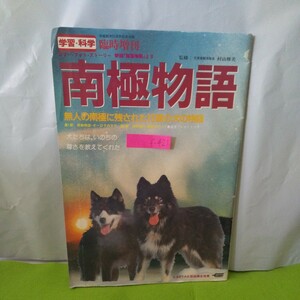 f-421 南極物語 カラー・フォト・ストーリー 無人の南極に残された15頭の犬の物語 昭和58年5月10日発行※1