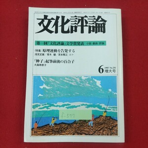 f-577※1 文化評論 1985年6月増大号 No.291 第一回文学賞発表 1985年6月1日発行 新日本出版社 特集・原理運動を告発する