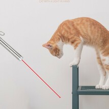 新品 猫じゃらし レーザーポインター 猫おもちゃ USB 充電式 運動不足 LED ライト ネコ ねこ 玩具 ストレス解消 遊び 赤い点 ねずみ 爪とぎ_画像3