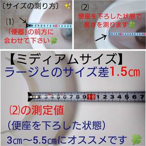 脇から漏れ尿を横もれ便座の下トイレガード便座の横から尿おしっこ認知症オシッコ尿漏れ横モレ横漏れをガード便器と便座の隙間の尿もれ老人の画像8