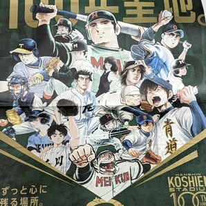 阪神甲子園球場 100周年 新聞広告　2024-1