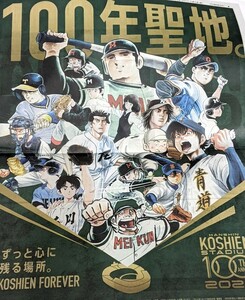 阪神甲子園球場 100周年 新聞広告　2024-1