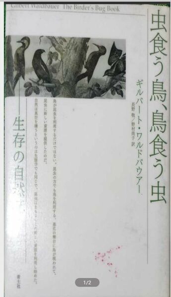 ◇☆生存の自然誌!!!◇☆「虫食う鳥、鳥食う虫」◇☆ギルバート・ワルドバウアー著!!◇*除籍本◇☆ポイントorクーポン消化に!!!