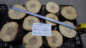 産卵木　ナラ　10本　ＮＯ、1276　約 7.5ｋｇ　100サイズ　☆奈良県ＰＯＷＥＲ☆