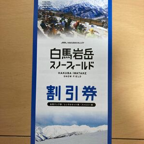 白馬岩岳スキー場割引券1枚