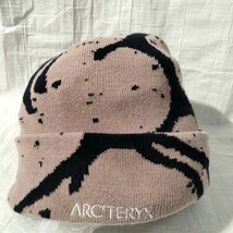 ARC'TERYX Grotto Toque Velvet Sand Black Sapphire アークテリクス grotto toque　グロットトーク　ビーニー ニットキャップ knit cap _画像1