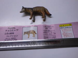 785/チョコエッグ/日本の動物コレクション/ニホンオオカミ