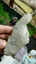 B0102-サボテン水晶、１６４、９g_画像5