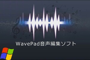 NCH WavePad マスター版 for Windows 音声編集ソフト永久版 ダウンロード版